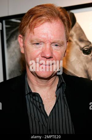 EXKLUSIV!! Der Schauspieler David Caruso nimmt an einem Cocktailempfang und einer Auktion für die South Florida S.P.C.A. in der Opera Gallery in Bal Harbour Teil. Miami, Florida 02/25/10. . Stockfoto