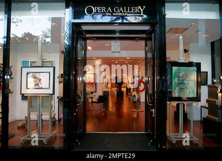 EXKLUSIV!! Der Schauspieler David Caruso nimmt an einem Cocktailempfang und einer Auktion für die South Florida S.P.C.A. in der Opera Gallery in Bal Harbour Teil. Miami, Florida 02/25/10. Stockfoto