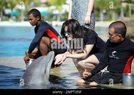 Disney-Star Demi Lovato verbringt einen erlebnisreichen Tag im Atlantis, Paradise Island Resort, bevor sie ihre Show am Samstagabend aufführt. Sie verbrachte den Tag damit, die Sehenswürdigkeiten zu besichtigen und schwamm mit den Delfinen und Seelöwen in Dolphin Cay, fuhr einen Golfwagen durch das Resort, um die Wasserrutschen und den Graben zu besichtigen und kaufte im Marina Village ein. Sie nahm sich auch etwas Zeit, um mit einigen eifrigen jungen Fans zu begrüßen und für Fotos zu posieren. Paradise Island, Bahamas. 3/7/09. Stockfoto