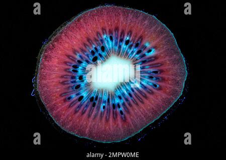 Ein Querschnitt der Kiwifrucht sieht aus wie etwas im Weltall (ein Nebel oder eine Supernova) auf diesem Foto, das mit ultraviolettem Licht aufgenommen wurde. Stockfoto