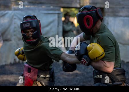 Rekruten bei Delta Company, 1. Rekrutierungsbataillon, Body Sparring auf Marine Corps Recruit Depot Parris Island, S.C., 18. November 2022. Das Body Sparring während des Tiegels ist der Höhepunkt der Kampfkunstausbildung des Marinekorps der Rekruten und ermöglicht es ihnen, alle erlernten Techniken anzuwenden. Stockfoto