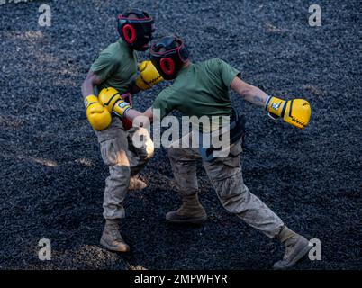 Rekruten bei Delta Company, 1. Rekrutierungsbataillon, Body Sparring auf Marine Corps Recruit Depot Parris Island, S.C., 18. November 2022. Das Body Sparring während des Tiegels ist der Höhepunkt der Kampfkunstausbildung des Marinekorps der Rekruten und ermöglicht es ihnen, alle erlernten Techniken anzuwenden. Stockfoto