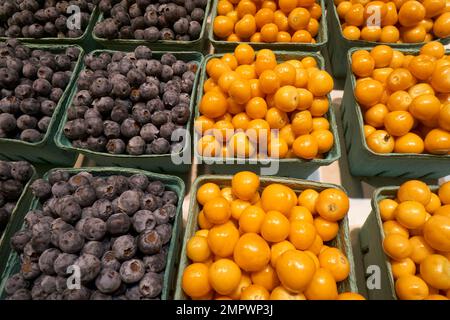 Behälter mit Goldbeeren und Blaubeeren zum Verkauf auf dem Granville Island Public Market, Vancouver, BC, Kanada Stockfoto
