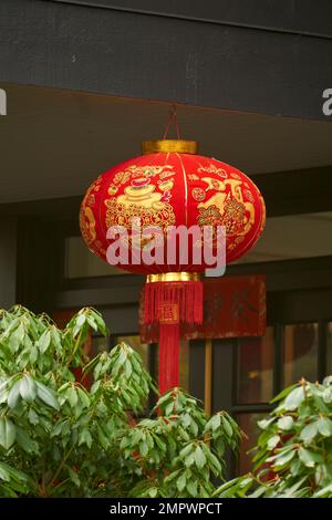 Große chinesische Laterne, Dekoration zum Mondneujahr, die vor einem Haus hängt, Vancouver British Columbia, Kanada Stockfoto