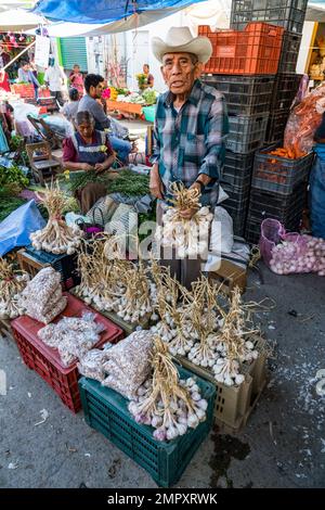 Ein Anbieter bietet Knoblauchpakete zum Verkauf auf dem Markt in Ocotlan de Morelos in den zentralen Tälern von Oaxaca, Mexiko, an. Stockfoto