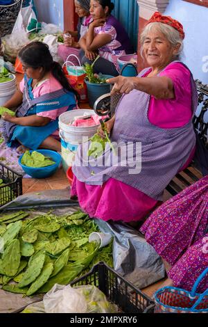 Eine einheimische Zapotec-Frau, die nopale Kaktuspolster putzt, um sie auf dem Markt in Ocotlan de Morelos in Oaxaca, Mexiko, zu verkaufen. Stockfoto