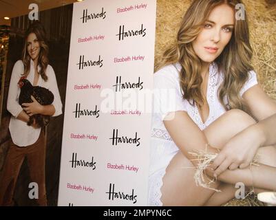 - Elizabeth Hurley hat sich mit Prinz Charles' Lebensmittelfirma Duchy Originals zusammengetan, um ein Bio-Sortiment zu erschaffen, das das Modell heute in Harrods zur Schauspielerin wurde. Hurley, die auch Badeanzüge entwirft, besitzt eine 400 Hektar große Farm in Gloucestershire und posierte neben Fotos von sich selbst mit einem Huhn. Der Start beinhaltete Snackbars und Rinderjerkey. London, Großbritannien. 11/3/09. Stockfoto