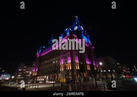 Das Royal Liver Building in Liverpool, Merseyside, wird beleuchtet, während der Eurovision Song Contest offiziell an die Stadt Liverpool übergeben wird, nachdem die Eurovision Insignia von der früheren Gastgeberstadt Turin in Italien an Liverpool übergeben wurde. Die im Namen von 2022 Preisträgern in der Ukraine Gastgeber sind. Foto: Dienstag, 31. Januar 2023. Stockfoto