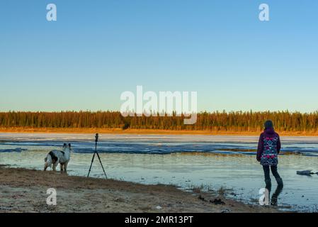 Ein Mädchen steht in Stiefeln im Wasser eines Quellflusses mit Eis neben einem weißen Hund und einem Telefon auf einem Stativ. Stockfoto