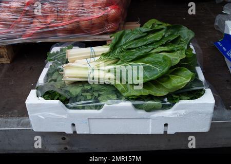 Slough, Berkshire, Großbritannien. 31. Januar 2023. Eine Gemüselieferung vor einem Laden in der Slough High Street heute. Trotz der Krise der Lebenshaltungskosten scheinen die Käufer immer noch reichlich Obst und Gemüse zu kaufen. Kredit: Maureen McLean/Alamy Live News Stockfoto
