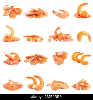 Set aus köstlichen frisch zubereiteten Garnelen auf weißem Hintergrund Stockfoto