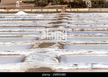 Salzmarschen, Isla Cristina, Spanien Stockfoto