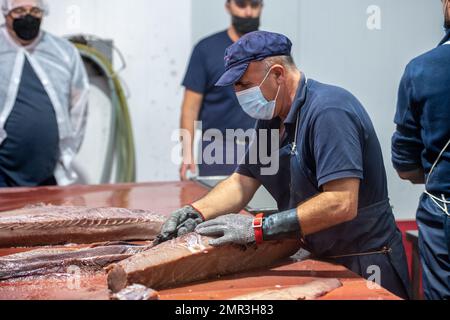 Schneiden und Vorbereiten von Fisch für die Konservenherstellung, Fischkonservenfabrik (USISA), Isla Cristina, Spanien Stockfoto