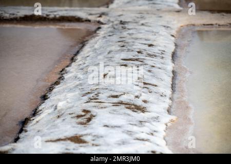 Salzmarschen, Isla Cristina, Spanien Stockfoto