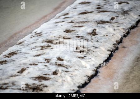 Salzmarschen, Isla Cristina, Spanien Stockfoto