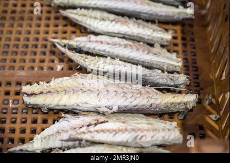 Getrockneter Fisch, Fischkonservenfabrik (USISA), Isla Cristina, Spanien Stockfoto