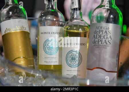 Kiew, Ukraine - 06. Juni 2021: Verschiedene portugiesische und spanische Weinflaschen als Nahaufnahme beim Food and Wine Fest. Stockfoto