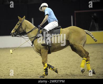 Internationale Teams treten beim Gaucho International Polo in der O2 Arena gegeneinander an. Die Veranstaltung ist das weltweit erste Hallenspiel für Polo-Turniere und umfasste England gegen Argentinien, Schottland gegen Südafrika und Oxford gegen Cambridge. Zu der Veranstaltung gehörte auch ein Prominentenspiel mit Liz McClarnon und Charlotte Christodoulou gegen Kenny Logan und Mike Bushnell. London, Großbritannien. 2/24/11. Stockfoto