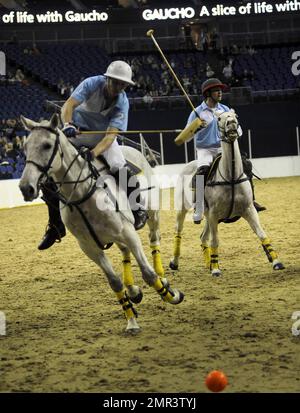 Internationale Teams treten beim Gaucho International Polo in der O2 Arena gegeneinander an. Die Veranstaltung ist das weltweit erste Hallenspiel für Polo-Turniere und umfasste England gegen Argentinien, Schottland gegen Südafrika und Oxford gegen Cambridge. Zu der Veranstaltung gehörte auch ein Prominentenspiel mit Liz McClarnon und Charlotte Christodoulou gegen Kenny Logan und Mike Bushnell. London, Großbritannien. 2/24/11. Stockfoto