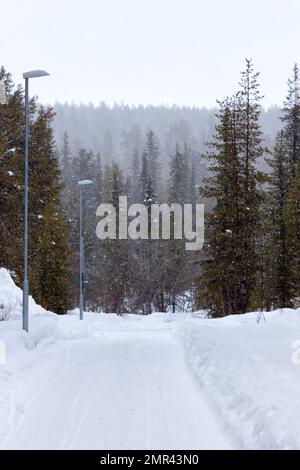 Winterlandschaft im Norden Schwedens. Wald in der Nähe von Kiruna Stockfoto