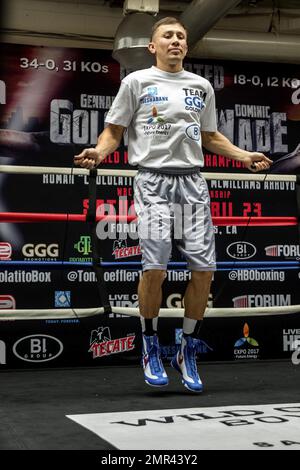 Der WBA/IBF-Mittelgewichtsmeister Gennady Golovkin entschied sich, sein gewohntes, vollwertiges Training mit Abel Sanchez zu absolvieren, während sein Gegner Dominic Wade sich seine Bestleistungen für Samstagabend aufbewahrte, wenn beide Kämpfer sich auf dem Forum in Los Angeles, Kalifornien, gegenüberstehen. Die Veranstaltung wird live im HBO World Championship Boxing übertragen. 20. April 2016. Stockfoto