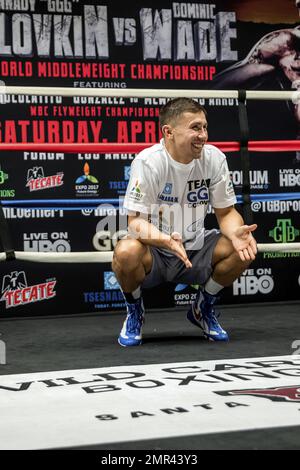 Der WBA/IBF-Mittelgewichtsmeister Gennady Golovkin entschied sich, sein gewohntes, vollwertiges Training mit Abel Sanchez zu absolvieren, während sein Gegner Dominic Wade sich seine Bestleistungen für Samstagabend aufbewahrte, wenn beide Kämpfer sich auf dem Forum in Los Angeles, Kalifornien, gegenüberstehen. Die Veranstaltung wird live im HBO World Championship Boxing übertragen. 20. April 2016. Stockfoto