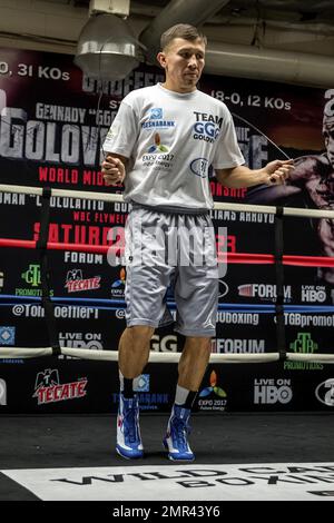 Der WBA/IBF-Mittelgewichtsmeister Gennady Golovkin entschied sich, sein gewohntes, vollwertiges Training mit Abel Sanchez zu absolvieren, während sein Gegner Dominic Wade sich seine Bestleistungen für Samstagabend aufbewahrte, wenn beide Kämpfer sich auf dem Forum in Los Angeles, Kalifornien, gegenüberstehen. Die Veranstaltung wird live im HBO World Championship Boxing übertragen. 20. April 2016. Stockfoto