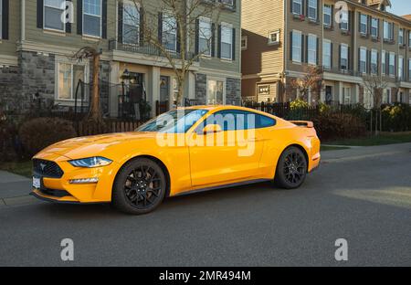 Gelber Muskelwagen Ford Mustang auf dem Land. Frontscheinwerfer eines modernen gelben Autos auf einer Straße. Niemand, Straßenfoto, Editorial-Januar 30,2023... Stockfoto