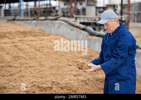 Bauer hockt auf einem großen Haufen verbrauchten Getreides der Brauerei Stockfoto