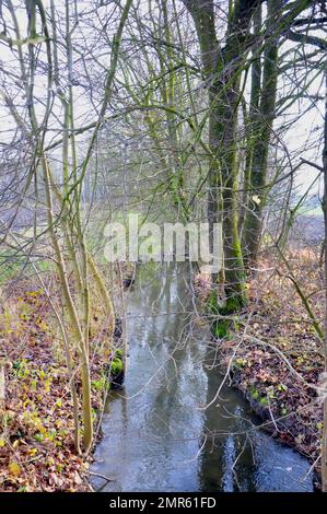 Ein kleiner Bach neben dem alten Haus in einem Garten. Kleiner Bach neben dem Haus, ländliche Landschaft im deutschen Dorf Stockfoto