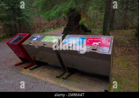 Bärensichere Abfallcontainer aus Metall an einem Ausgangspunkt im Kanaka Creek Regional Park - Pacific Northwest - Maple Ridge, B.C., Kanada. Stockfoto