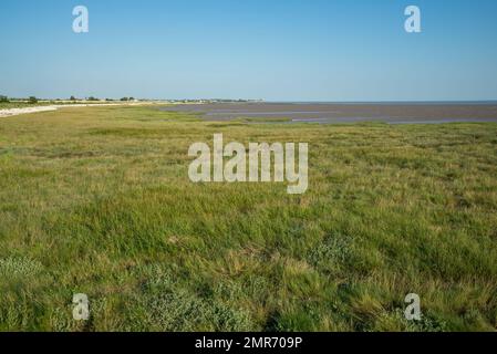 Flache Feuchtgebiete an der Küste nahe Talmont sur Gironde am rechten Ufer der Flussmündung der Gironde, Charente Maritime Westatlantikküste Frankreich Stockfoto