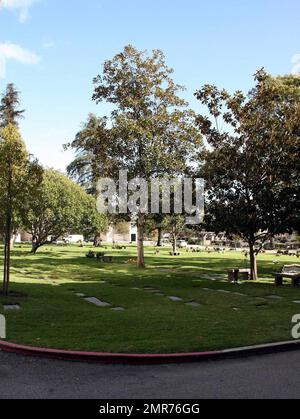 Im Pierce Brothers Westwood Village Memorial Park and Mortuary fand am Wochenende für Heath Ledger eine GEDENKFEIER IN LA statt, wo sich Freunde und Familie versammelten, um ihnen die letzte Ehre zu erweisen. Es wird berichtet, dass Ledger' Leiche dann zu seinem Heimatland Australien geflogen wurde, seiner letzten Ruhestätte. Westwood, Kalifornien. 1/28/08. Stockfoto