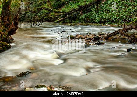 In Schottland befinden sich der spektakuläre, schnell fließende Arbirlot Waterfall und das Elliot Water in der Nähe von Arbroath, Großbritannien Stockfoto