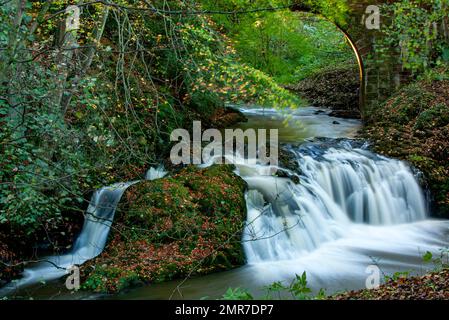 In Schottland befinden sich der spektakuläre, schnell fließende Arbirlot Waterfall und das Elliot Water in der Nähe von Arbroath, Großbritannien Stockfoto