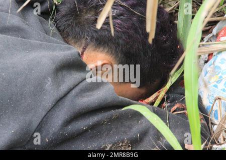 Manaus, Amazonas, Brasilien. 31. Januar 2023. (INT) Ein Teenager soll in Manaus entführt und ermordet worden sein. 31. Januar 2023, Manaus, Amazona, Brasilien: Mit sieben Schüssen wurde der Teenager Bryan Azevedo Dantas, 17 Jahre alt, am Dienstag (31) Morgen tot in einem bewaldeten Bereich der Avenida Oitis, im Industriebezirk 2, östlich von Manaus, aufgefunden. Der Verdächtige ist, dass der junge Mann entführt und ermordet wurde, bei einer möglichen Einigung über Drogenhandel. Der Fall wird von der Spezialpolizei für Tötung und Entführung (DEHS) untersucht.Kredit: Josemar Antunes/Thenews2 (Cre Stockfoto