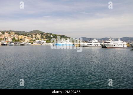 Yachten im Hafen von Porto Maurizio, Imperia, Ligurien, Italien, Europa Stockfoto