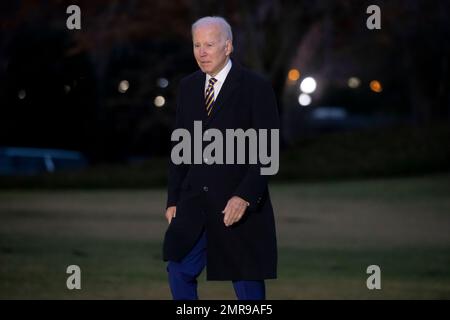 US-Präsident Joe Biden geht über den South Lawn des Weißen Hauses, nachdem er von Marine One in Washington, DC, USA zurückgekehrt ist. 31. Januar 2023. Biden kehrt von einem Tagesausflug nach New York City zurück. Kredit: SIPA USA/Alamy Live News Stockfoto