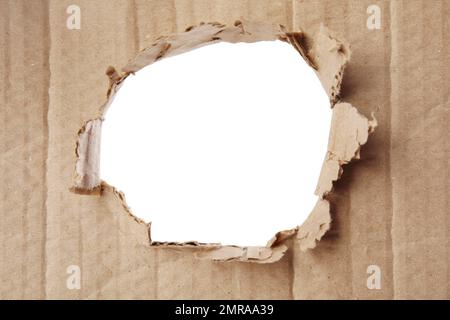 Loch in braunem Karton auf weißem Hintergrund Stockfoto