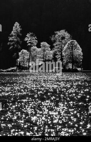 Christlieger Island mit Statue von St. John Nepomuk, Königssee, Schöngau, Berchtesgadener Land, Bayern, Deutschland, Europa Stockfoto