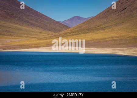 Salzsee, türkisfarbene Laguna Miniques, vulkanische Landschaft bei Sonnenaufgang, Atacama Stockfoto