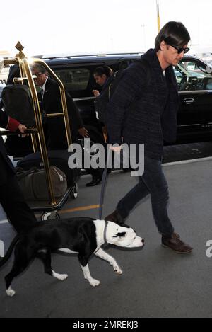 Josh Hartnett kommt mit seinem Hund Iggy am Flughafen LAX an. Los Angeles, Kalifornien. 4. Mai 2014 Stockfoto