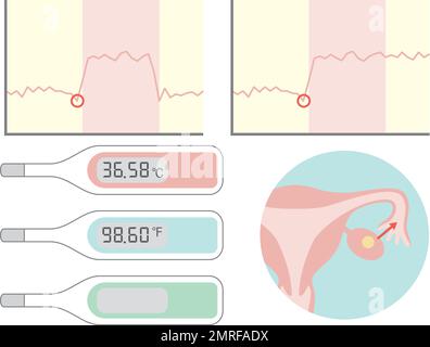 Basalthermometer und Basaltemperaturdiagramm. Illustration über Schwangerschaft und Geburt. Stock Vektor