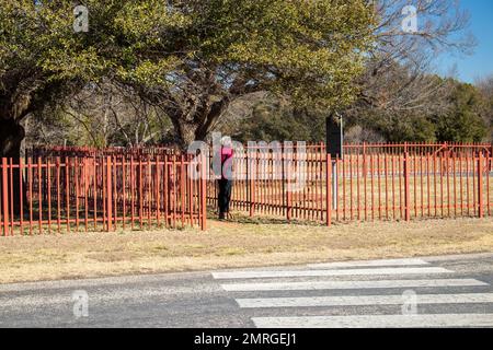 Aktive Seniorin mit weißem Haar in einem Park, die im Abilene State Park, Texas, einen historischen Marker liest Stockfoto