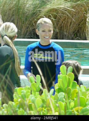 Exklusiv!! DIE US TV Show Moderatorin Kelly Ripa verbringt einen Vormittag im Miami Seaquarium mit ihrer Familie. Ripa schlüpfte in einen Neoprenanzug und filmte einen Teil der Show im Dolphin Harbor, wo die Familie im Dolphin Odyssey Experience mit Delfinen schwamm. Nach ihrem Spaß im Seaquarium ging die Gruppe nach Parrot Jungle Island. Live mit Regis und Kelly filmt die ganze Woche live aus Miami. Miami, FL 5/2/09 Stockfoto