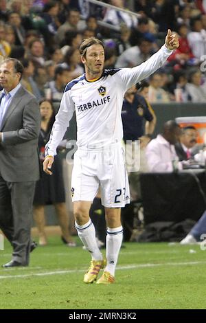 David Beckham und sein TEAM VON LA Galaxy haben 26.000 ausverkaufte Spieler geschlagen und haben ihre Heimkonkurrenten, die Chivas USA, mit einem 1-0-Sieg ausgeschlossen, um die reguläre Saison ungeschlagen zu beenden. Beckham spielte das ganze Spiel, während seine Söhne Cruz, Brooklyn und Romeo auf der Tribüne zuschauten. Seine beiden Lieblingsfrauen, Frau Victoria und das neugeborene Harper Seven, kamen diese Saison ins Home Depot Center und sahen zu, wie die LA Galaxy die Chivas aus einer Suite schlug. Die Galaxy (19-4-10) hatte das Supporters' Shield bereits für den besten Rekord der MLS in der regulären Saison gekämpft und sich die Supe gesichert Stockfoto