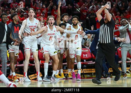 College Park, MD, USA. 31. Januar 2023. Die Maryland Terrapins Bank reagiert auf ein offenkundiges Foul während des NCAA-Basketballspiels zwischen den Indiana Hoosiers und den Maryland Terrapins im Xfinity Center in College Park, MD. Reggie Hildred/CSM/Alamy Live News Stockfoto