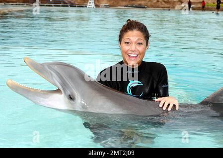 Exklusiv!! Miss Teen USA Hilary Cruz bei Dolphin Cay in Atlantis, Paradise Island auf den Bahamas 06/13/08. Stockfoto