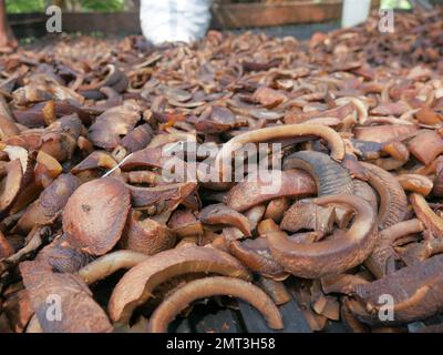 Zoomender Blick auf getrocknete Kokosnüsse oder Kopra in der traditionellen Koprafabrik in North Maluku, Indonesien. Stockfoto
