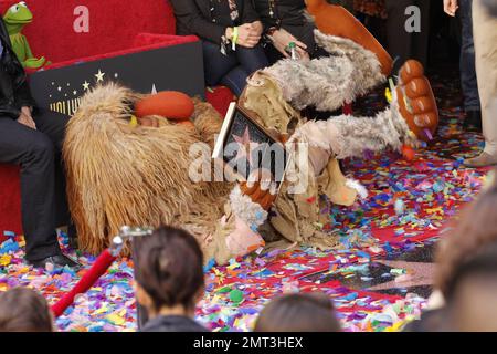 "Die Muppets" werden mit einem Star auf dem Hollywood Walk of Fame geehrt. Los Angeles, Kalifornien. 20. März 2012 Stockfoto